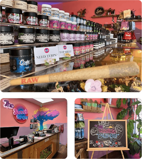 Interior View of the Weed Store At Santa Rosa_The Sweet Spot