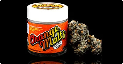 Orange Malt_Shasta Cannabis_The Sweet Spot