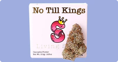No Till Kings Cannabis Flower_The Sweet Spot