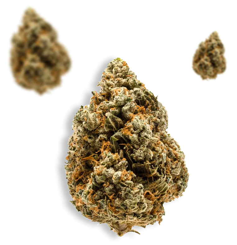 Premium Weed Flower in Santa Rosa